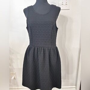 EVERLY Black Sleeveless Mini Textured‎ Skater Dress Large